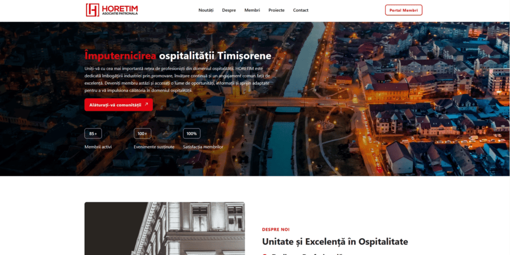 Asociația HORETIM, orașul Timișoara noaptea.